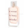 Issey Miyake Nuit D'Issey Noir Argent